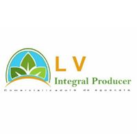 Logo - LV Integral Producer